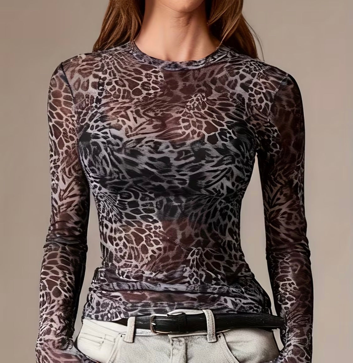 Sheer Leopard Mesh Long Sleeve Top