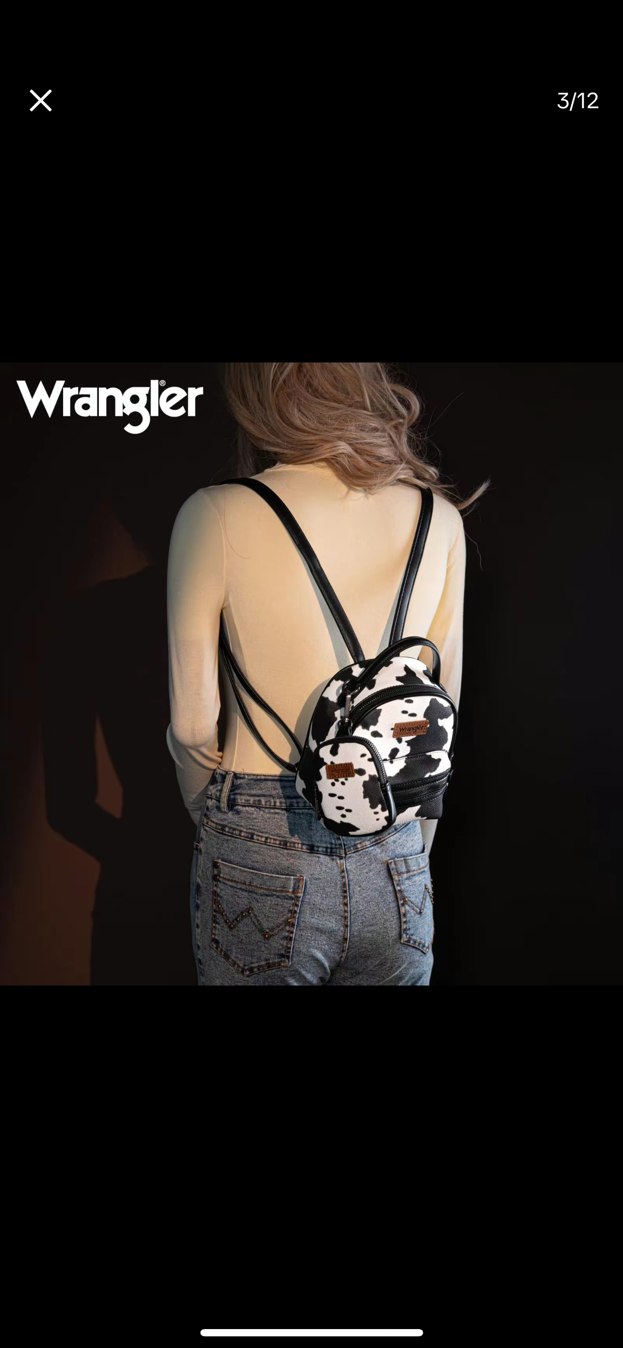 Wrangler backpacks mini